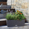 LECHUZA BALCONERA Cottage 50 - Plantenbak - met uitneembare binnenbak - met bewateringssysteem - ALL-IN-ONE set met LECHUZA-PON - wit