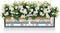 LECHUZA BALCONERA Cottage 80 - Plantenbak - met uitneembare binnenbak - met bewateringssysteem - ALL-IN-ONE set met LECHUZA-PON - mokka
