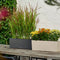 LECHUZA BALCONERA Stone 50 - Plantenbak - met uitneembare binnenbak - met bewateringssysteem - ALL-IN-ONE set met LECHUZA-PON - kwarts wit