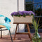 LECHUZA BALCONERA Stone 50 - Plantenbak - met uitneembare binnenbak - met bewateringssysteem - ALL-IN-ONE set met LECHUZA-PON - zandbeige