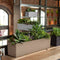 LECHUZA BALCONERA Stone 80 - Plantenbak - met uitneembare binnenbak - met bewateringssysteem - ALL-IN-ONE set met LECHUZA-PON - steengrijs