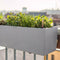LECHUZA BALCONERA Stone 80 - Plantenbak - met uitneembare binnenbak - met bewateringssysteem - ALL-IN-ONE set met LECHUZA-PON - grafietzwart