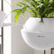 LECHUZA BOLA color 23 - Plantenbak - met uitneembare binnenbak - met bewateringssysteem - ALL-IN-ONE set met LECHUZA-PON - zandbruin