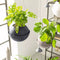 LECHUZA BOLA color 32 - Plantenbak - met uitneembare binnenbak - met bewateringssysteem - ALL-IN-ONE set met LECHUZA-PON - zandbruin