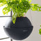 LECHUZA BOLA color 32 - Plantenbak - met uitneembare binnenbak - met bewateringssysteem - ALL-IN-ONE set met LECHUZA-PON - zandbruin