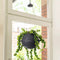 LECHUZA BOLA color 32 - Plantenbak - met uitneembare binnenbak - met bewateringssysteem - ALL-IN-ONE set met LECHUZA-PON - leisteengrijs