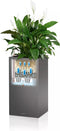 LECHUZA CANTO Premium 40 high - Plantenbak - met uitneembare binnenbak - met bewateringssysteem - ALL-IN-ONE set met LECHUZA-PON - zilver metallic