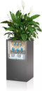 LECHUZA CANTO Premium 40 high - Plantenbak - met uitneembare binnenbak - met bewateringssysteem - ALL-IN-ONE set met LECHUZA-PON - wit hoogglans