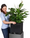 LECHUZA CANTO Premium 40 high - Plantenbak - met uitneembare binnenbak - met bewateringssysteem - ALL-IN-ONE set met LECHUZA-PON - wit hoogglans