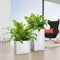 LECHUZA CANTO Premium 40 high - Plantenbak - met uitneembare binnenbak - met bewateringssysteem - ALL-IN-ONE set met LECHUZA-PON - wit hoogglans