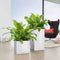 LECHUZA CANTO Premium 40 high - Plantenbak - met uitneembare binnenbak - met bewateringssysteem - ALL-IN-ONE set met LECHUZA-PON - antraciet metallic