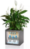 LECHUZA CANTO Premium 40 low - Plantenbak - met uitneembare binnenbak - met bewateringssysteem - ALL-IN-ONE set met LECHUZA-PON - zilver metallic