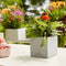 LECHUZA CANTO Stone 14 - Plantenbak - met uitneembare binnenbak - met bewateringssysteem - ALL-IN-ONE set met LECHUZA-PON - kwarts wit