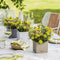 LECHUZA CANTO Stone 14 - Plantenbak - met uitneembare binnenbak - met bewateringssysteem - ALL-IN-ONE set met LECHUZA-PON - zandbeige