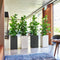 LECHUZA CANTO Stone 30 high LED - Plantenbak - met uitneembare binnenbak - met bewateringssysteem - ALL-IN-ONE set met LECHUZA-PON - met LED-stripverlichting - grafietzwart