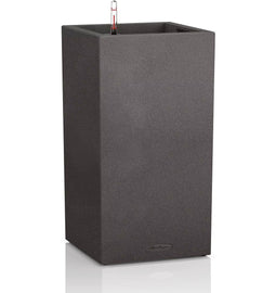 LECHUZA CANTO Stone 30 high - Plantenbak - met uitneembare binnenbak - met bewateringssysteem - ALL-IN-ONE set met LECHUZA-PON - grafietzwart