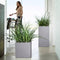 LECHUZA CANTO Stone 30 high - Plantenbak - met uitneembare binnenbak - met bewateringssysteem - ALL-IN-ONE set met LECHUZA-PON - zandbeige