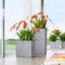 LECHUZA CANTO Stone 30 high - Plantenbak - met uitneembare binnenbak - met bewateringssysteem - ALL-IN-ONE set met LECHUZA-PON - kwarts wit