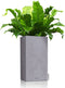 LECHUZA CANTO Stone 30 high - Plantenbak - met uitneembare binnenbak - met bewateringssysteem - ALL-IN-ONE set met LECHUZA-PON - steengrijs