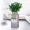 LECHUZA CANTO Stone 30 high - Plantenbak - met uitneembare binnenbak - met bewateringssysteem - ALL-IN-ONE set met LECHUZA-PON - zandbeige