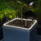 LECHUZA CANTO Stone 30 low LED - Plantenbak - met uitneembare binnenbak - met bewateringssysteem - ALL-IN-ONE set met LECHUZA-PON - met LED-stripverlichting - steengrijs