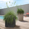 LECHUZA CANTO Stone 30 low - Plantenbak - met uitneembare binnenbak - met bewateringssysteem - ALL-IN-ONE set met LECHUZA-PON - steengrijs