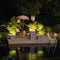 LECHUZA CANTO Stone 40 high LED - Plantenbak - met uitneembare binnenbak - met bewateringssysteem - ALL-IN-ONE set met LECHUZA-PON - met LED-stripverlichting - grafietzwart
