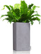 LECHUZA CANTO Stone 40 high - Plantenbak - met uitneembare binnenbak - met bewateringssysteem - ALL-IN-ONE set met LECHUZA-PON - steengrijs