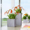 LECHUZA CANTO Stone 40 high - Plantenbak - met uitneembare binnenbak - met bewateringssysteem - ALL-IN-ONE set met LECHUZA-PON - steengrijs