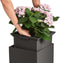 LECHUZA CANTO Stone 40 high - Plantenbak - met uitneembare binnenbak - met bewateringssysteem - ALL-IN-ONE set met LECHUZA-PON - grafietzwart