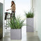 LECHUZA CANTO Stone 40 high - Plantenbak - met uitneembare binnenbak - met bewateringssysteem - ALL-IN-ONE set met LECHUZA-PON - steengrijs