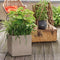 LECHUZA CANTO Stone 40 low - plantenbak - met uitneembare binnenbak - met bewateringssysteem - ALL-IN-ONE set met LECHUZA-PON - kwarts wit