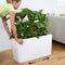 LECHUZA CARARO PREMIUM - Plantenbak - met bewateringssysteem - ALL-IN-ONE set met LECHUZA-PON - Taupe hoogglans