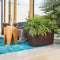 LECHUZA CARARO PREMIUM - Plantenbak - met bewateringssysteem - ALL-IN-ONE set met LECHUZA-PON - wit hoogglans