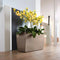 LECHUZA CARARO PREMIUM - Plantenbak - met bewateringssysteem - ALL-IN-ONE set met LECHUZA-PON - zilver metallic