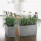 LECHUZA CARARO PREMIUM - Plantenbak - met bewateringssysteem - ALL-IN-ONE set met LECHUZA-PON - Taupe hoogglans