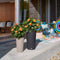 LECHUZA CILINDRO Color 23 - Plantenbak - met uitneembare binnenbak - met bewateringssysteem - ALL-IN-ONE set met LECHUZA-PON - wit