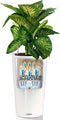 LECHUZA CILINDRO Color 32 - Plantenbak - met uitneembare binnenbak - met bewateringssysteem - ALL-IN-ONE set met LECHUZA-PON - Wit