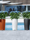 LECHUZA CILINDRO Color 32 - Plantenbak - met uitneembare binnenbak - met bewateringssysteem - ALL-IN-ONE set met LECHUZA-PON - Wit