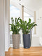 LECHUZA CILINDRO Color 32 - Plantenbak - met uitneembare binnenbak - met bewateringssysteem - ALL-IN-ONE set met LECHUZA-PON - zandbruin