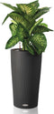 LECHUZA CILINDRO Color 32 - Plantenbak - met uitneembare binnenbak - met bewateringssysteem - ALL-IN-ONE set met LECHUZA-PON - leisteengrijs