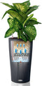 LECHUZA CILINDRO Color 32 - Plantenbak - met uitneembare binnenbak - met bewateringssysteem - ALL-IN-ONE set met LECHUZA-PON - leisteengrijs