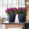 LECHUZA CLASSICO Color 21 - Plantenbak - met bewateringssysteem - ALL-IN-ONE set met LECHUZA-PON - wit