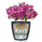 LECHUZA CLASSICO Color 28 - Plantenbak - met bewateringssysteem - ALL-IN-ONE set met LECHUZA-PON - leisteengrijs