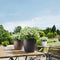 LECHUZA CLASSICO Color 28 - Plantenbak - met bewateringssysteem - ALL-IN-ONE set met LECHUZA-PON - muskaat