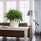 LECHUZA CLASSICO Color 35 - Plantenbak - met bewateringssysteem - ALL-IN-ONE set met LECHUZA-PON - zandbruin