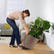 LECHUZA CLASSICO Color 43 - Plantenbak - ALL-IN-ONE set met LECHUZA-PON - leisteengrijs