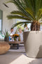 LECHUZA CLASSICO Color 60 - Plantenbak - met bewateringssysteem - ALL-IN-ONE set met LECHUZA-PON - zandbruin