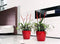 Lechuza Classico Premium 70 Scharlakenrood hoogglans
