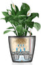 LECHUZA CLASSICO PREMIUM LS 21 - Plantenbak - met uitneembare binnenbak - met bewateringssysteem - ALL-IN-ONE set met LECHUZA-PON - wit hoogglans